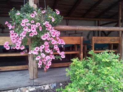 Gallery image of Penzion Piano Ranch in Mladá Boleslav