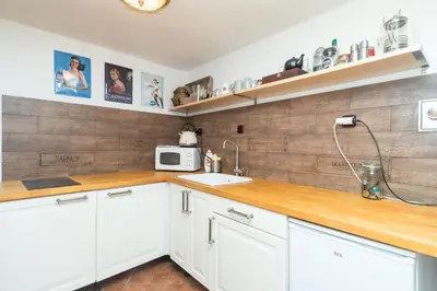 a kitchen with white cabinets and a wooden wall at Budyně Apartment in Budyně nad Ohří