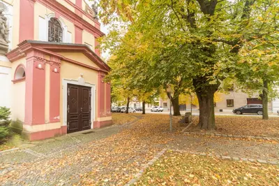 a tree in front of a pink building at Budyně Apartment in Budyně nad Ohří