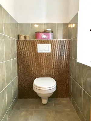 a bathroom with a toilet with a brown tiled wall at Budyně Apartment in Budyně nad Ohří