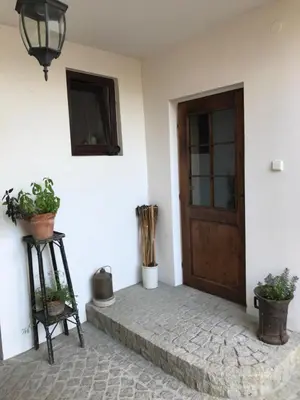 a front door of a house with potted plants at Budyně Apartment in Budyně nad Ohří