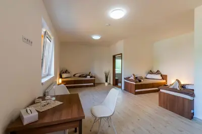 a room with two beds and a table and chairs at Penzion Piranha in Mělník