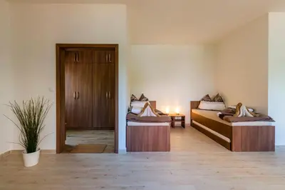 a room with two beds and a door with a plant at Penzion Piranha in Mělník