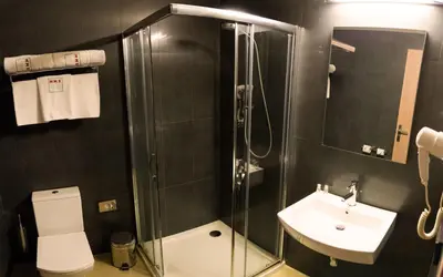 a bathroom with a shower and a sink and a toilet at Pivotel MMX in Dobřichovice