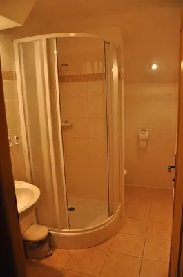 a bathroom with a shower with a toilet and a sink at Pension Nostalgie in Beroun
