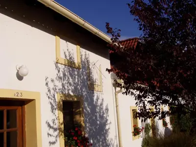 a building with a shadow of a tree on it at Český Statek in Prague