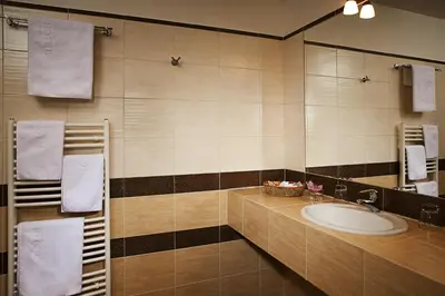 a bathroom with a sink and a mirror and towels at Dolce Villa in Prague