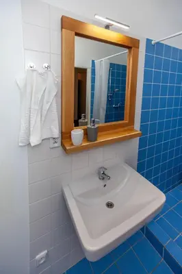 a bathroom with a sink and a mirror at Žižkov Cosy Studio Apartments in Prague