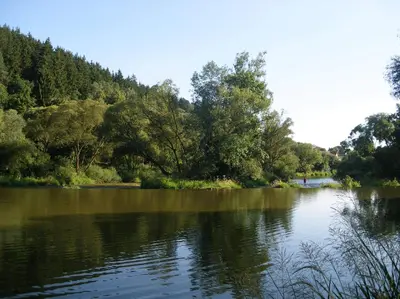 a view of a river with trees in the background at U Certa in Čerčany