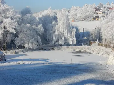 a frozen pond in a field with snow covered trees at Sport-hotel Šibeniční vrch in Mnichovice