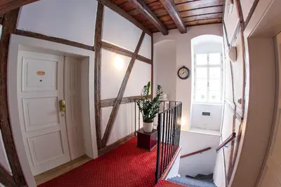 a hallway with a white door and a potted plant at Tyn Yard Residence in Prague