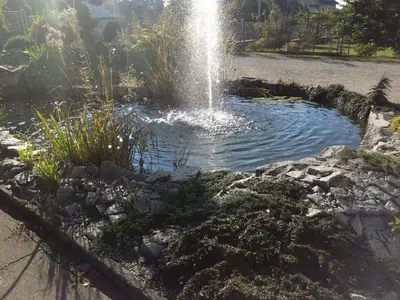 a fountain in a pond in a garden at Fontána in Prague