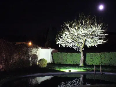 a tree in front of a house at night at Fontána in Prague