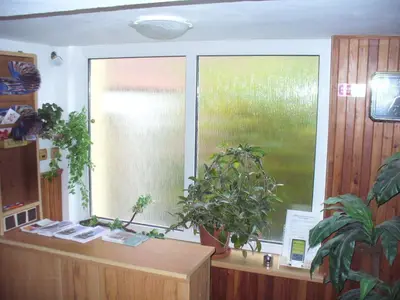 a room with a window with potted plants at Fontána in Prague