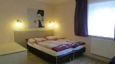 a bedroom with a bed in a room with a window at Penzion Coupe in Příbram