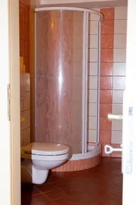 a bathroom with a toilet and a shower at Pension Fontana in Poděbrady