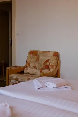 a bed and a chair in a room at Pension Fontana in Poděbrady