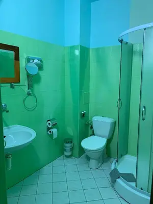 a green bathroom with a toilet and a sink at Hotel Victor in Prague