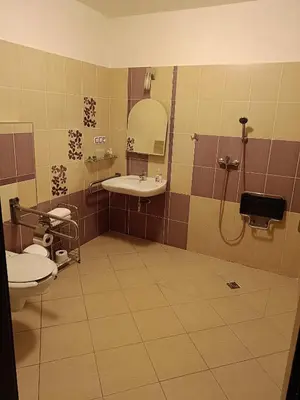 a bathroom with a shower and a sink and a toilet at Toscca in Čelákovice