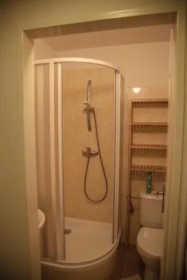 a bathroom with a shower and a toilet at Apartments Emma in Prague