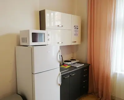 a white refrigerator with a microwave on top of it at Flamingo Apartments in Prague