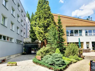 a large pine tree in front of a building at Resort Lesní Lázně in Zvánovice