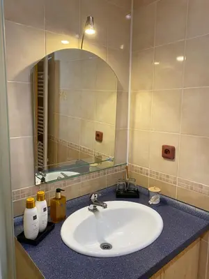 a bathroom counter with a sink and a mirror at Resort Lesní Lázně in Zvánovice