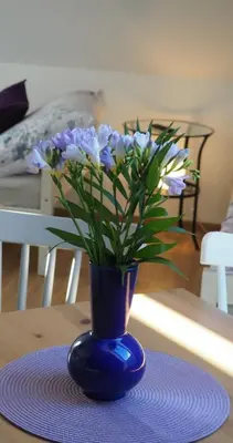 a blue vase with purple flowers on a table at Apartmány U Václava - 7 minut od letiště Václava Havla - parkování zdarma in Kněževes