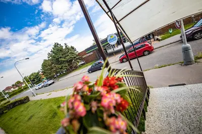 a pot of flowers sitting on a bench next to a street at Hotel Penzion Rohožník in Prague