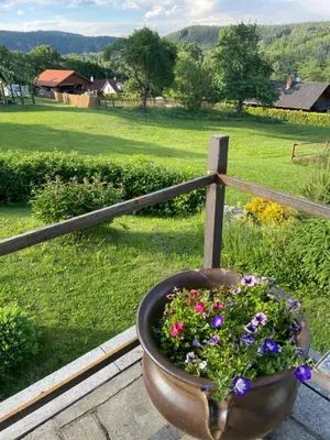 a pot of flowers sitting on a fence at Runch Smilovice in Chotilsko