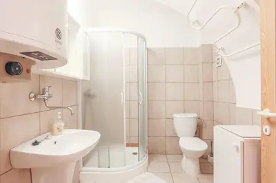 a bathroom with a shower and a toilet and a sink at Penzion Bedrč in Benešov