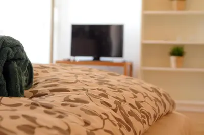 a bed in a living room with a television at Panorama Prague Castle with Terrace in Prague