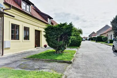 a small tree on the side of a house at Penzion Na Letním bytě in Kouřim