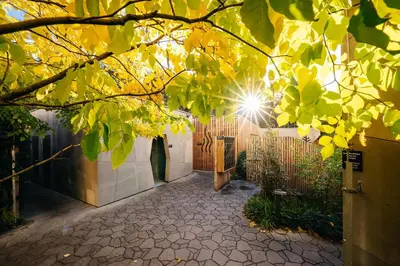 a tunnel with a tree in it with lights at Hotel SEN in Senohraby