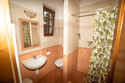 a bathroom with a sink and a toilet and a shower at Stary dum in Černošice