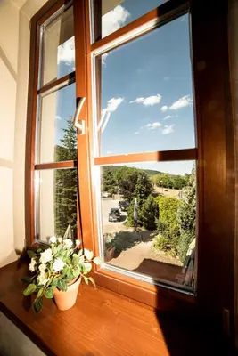 a window with a potted plant on a wooden window sill at Stary dum in Černošice