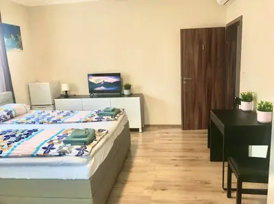 a bedroom with a bed and a desk with a television at Fresh house in Prague