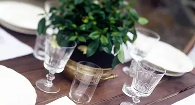 a table with glasses and a potted plant on it at Family Hotel Okoř in Okoř
