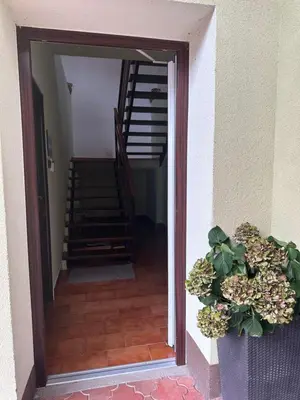 a hallway with a staircase and a door with a plant at Apartmany U Stareho Labe in Nymburk