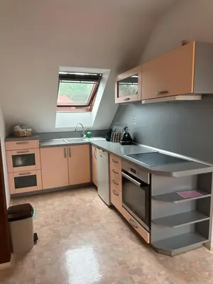 a kitchen with a sink and a stove top oven at Apartmany U Stareho Labe in Nymburk