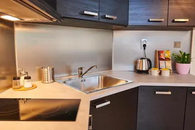 a kitchen with a stainless steel sink and black cabinets at Royal Route Residence Lesser Town in Prague