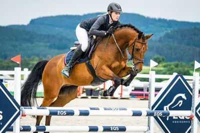 a woman riding a horse jumping over an obstacle at Bílichov in Bílichov