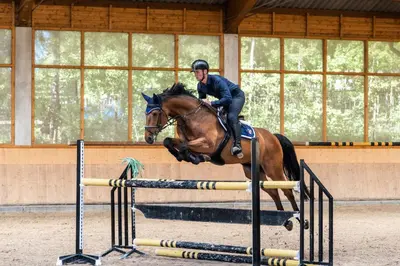 a person riding a horse jumping over an obstacle at Bílichov in Bílichov