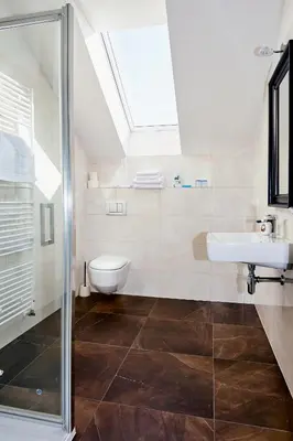 a bathroom with a shower and a sink and a toilet at Bílichov in Bílichov