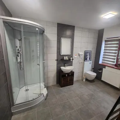 a bathroom with a shower and a sink and a toilet at Penzion a Restaurace Simanda in Prague