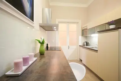 a kitchen with a counter with a vase of flowers at Prague Historic Center Apartments in Prague