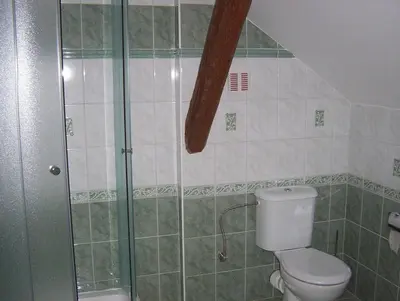 a bathroom with a toilet and a shower at Penzion U červených vrat in Chudolazy