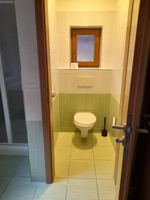 a small bathroom with a toilet and a window at Penzion V Maštali in Kněževes