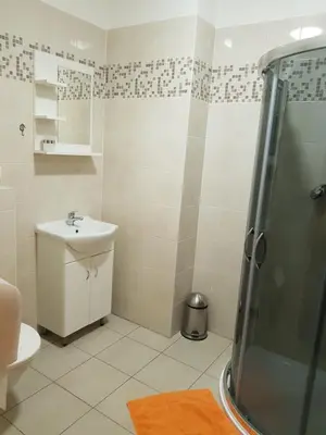 a bathroom with a sink and a shower at Penzion V Maštali in Kněževes