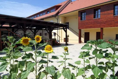 a garden of sunflowers in front of a building at Hotel Pod Sluncem in Třebíz